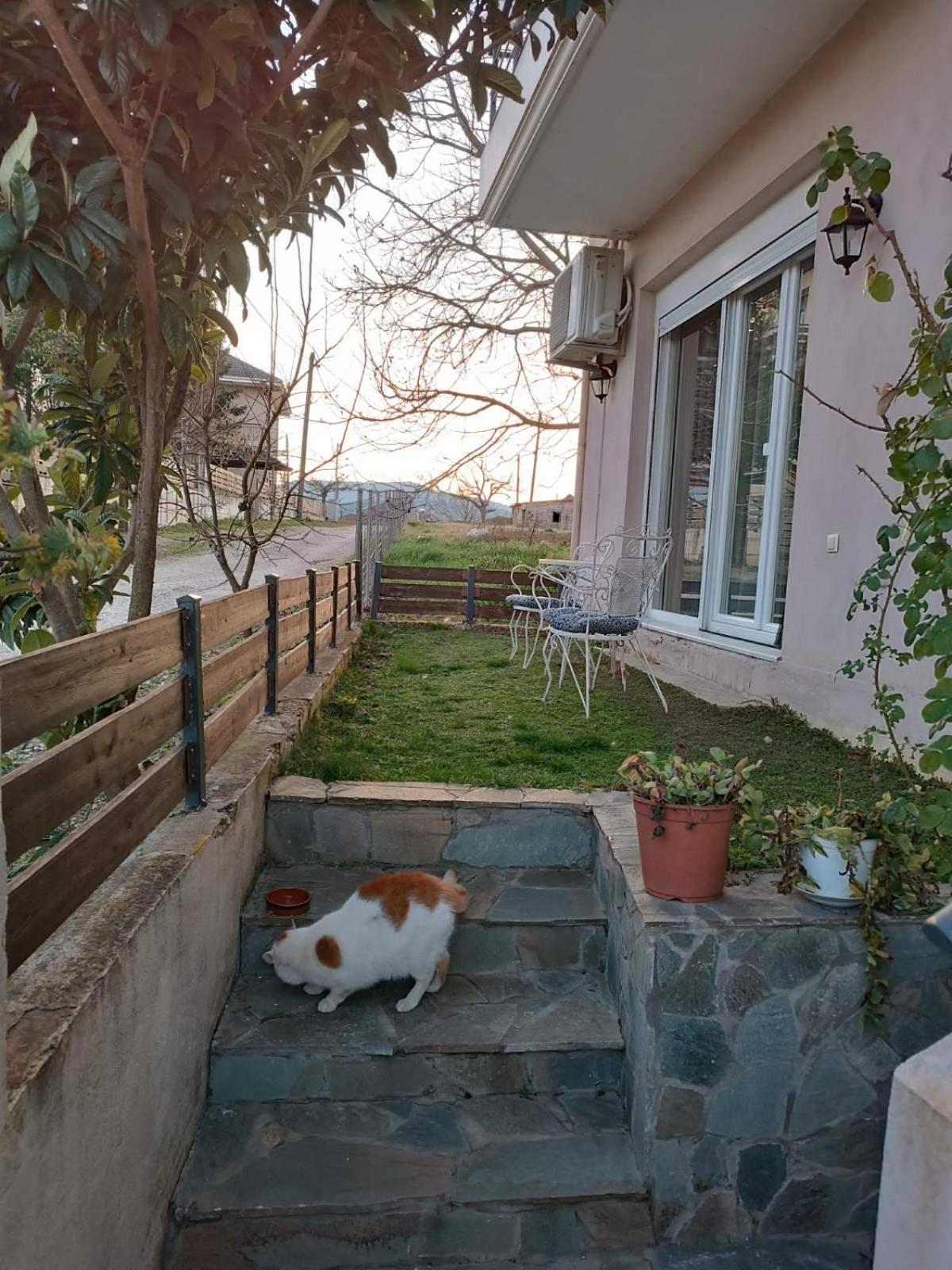 με δύο δωμάτια, δύο μπάνια * Katsikas